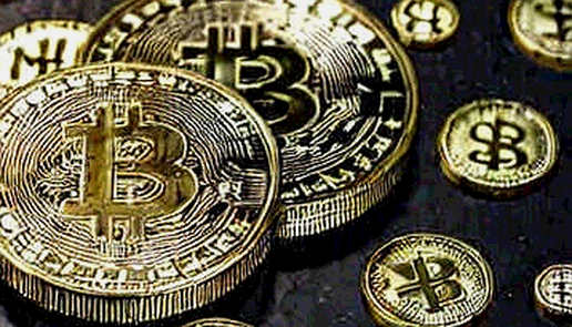 The 1,178-Dev Letter: Crypto's Internal Signal to Pause the Scaling Machine The 1,178-Dev Letter: Crypto's Internal Signal to Pause the Scaling Machine