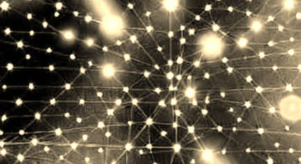 The Truth Market: When Unverified Political News Fractures On-Chain Prediction Liquidity