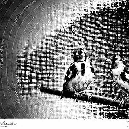 The $428M Illusion: Robinhood Chain’s AI Agent and the Art of the Rebound The $428M Illusion: Robinhood Chain’s AI Agent and the Art of the Rebound