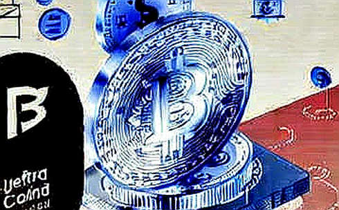 Donk’s 1.89 Rating Didn’t Move a Single Token: The Illusion of Gaming-Crypto Synergy Donk’s 1.89 Rating Didn’t Move a Single Token: The Illusion of Gaming-Crypto Synergy
