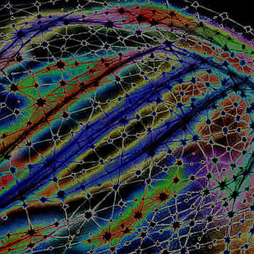 The AI Materials Foundry Alliance: Code Reads Centralization in the Soil of Compute The AI Materials Foundry Alliance: Code Reads Centralization in the Soil of Compute